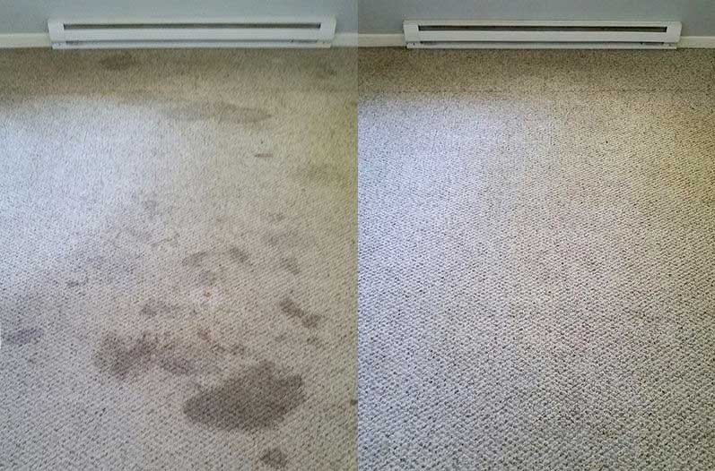 Fast Affordable Quality Carpet Cleaning In Sydney